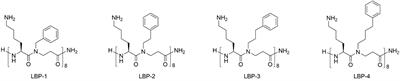 Antimicrobial Activity of α-Peptide/β-Peptoid Lysine-Based <mark class="highlighted">Peptidomimetics</mark> Against Colistin-Resistant Pseudomonas aeruginosa Isolated From Cystic Fibrosis Patients